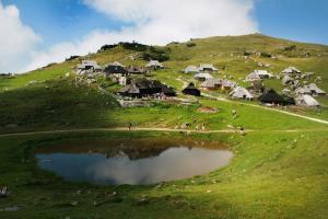 Velika planina 2
